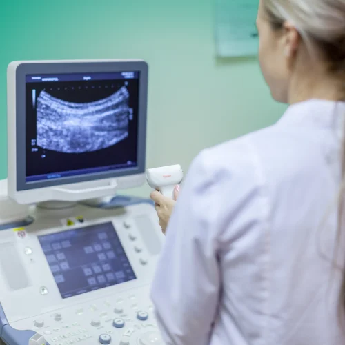 Kurs Zawodowy Ultrasonografia dla Techników Elektroradiologii – Wykorzystanie i Interpretacja Obrazów w Bydgoszczy